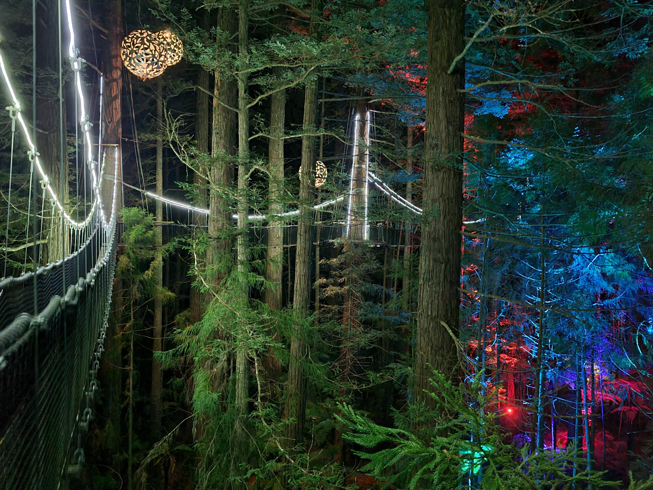 Redwoods Nightlights in New Zealand with lanterns set in the woods