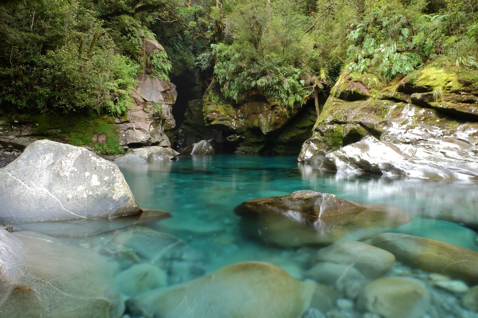 A rockpool hidden in a mountain forest