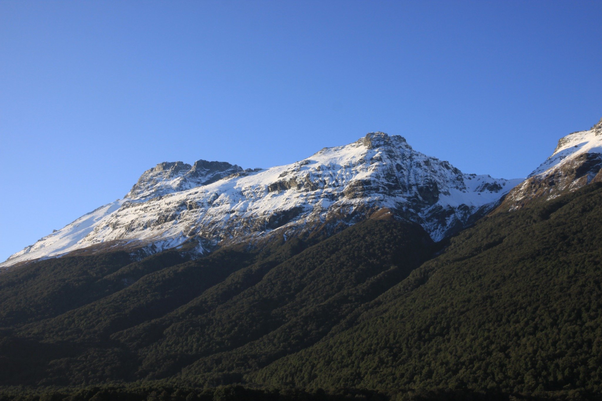 The Ultimate New Zealand Odyssey: From Peaks to Penguins