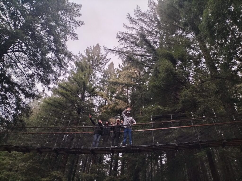 The Husain Family at Redwoods Treewalk in New Zealand