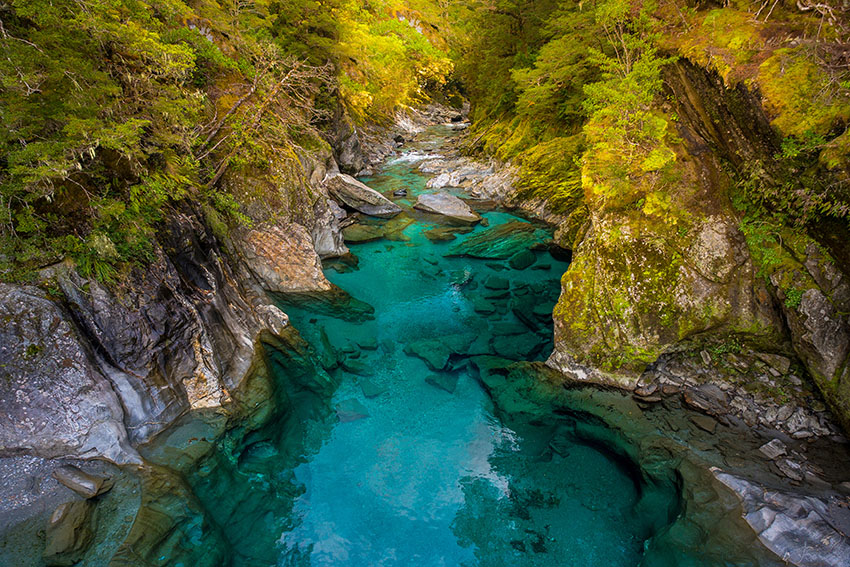 Blue River at Blue Pools track in the South Island of New Zealand. Blue pool track is a short walk from State Highway 6, Haast Pass