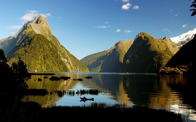 Milford Sound Fiordland