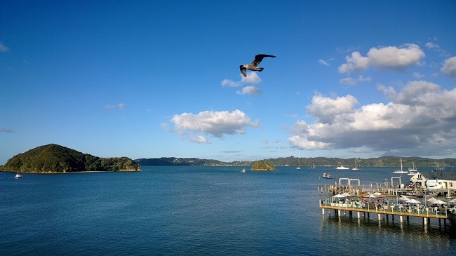 paihia bay of islands new zealand