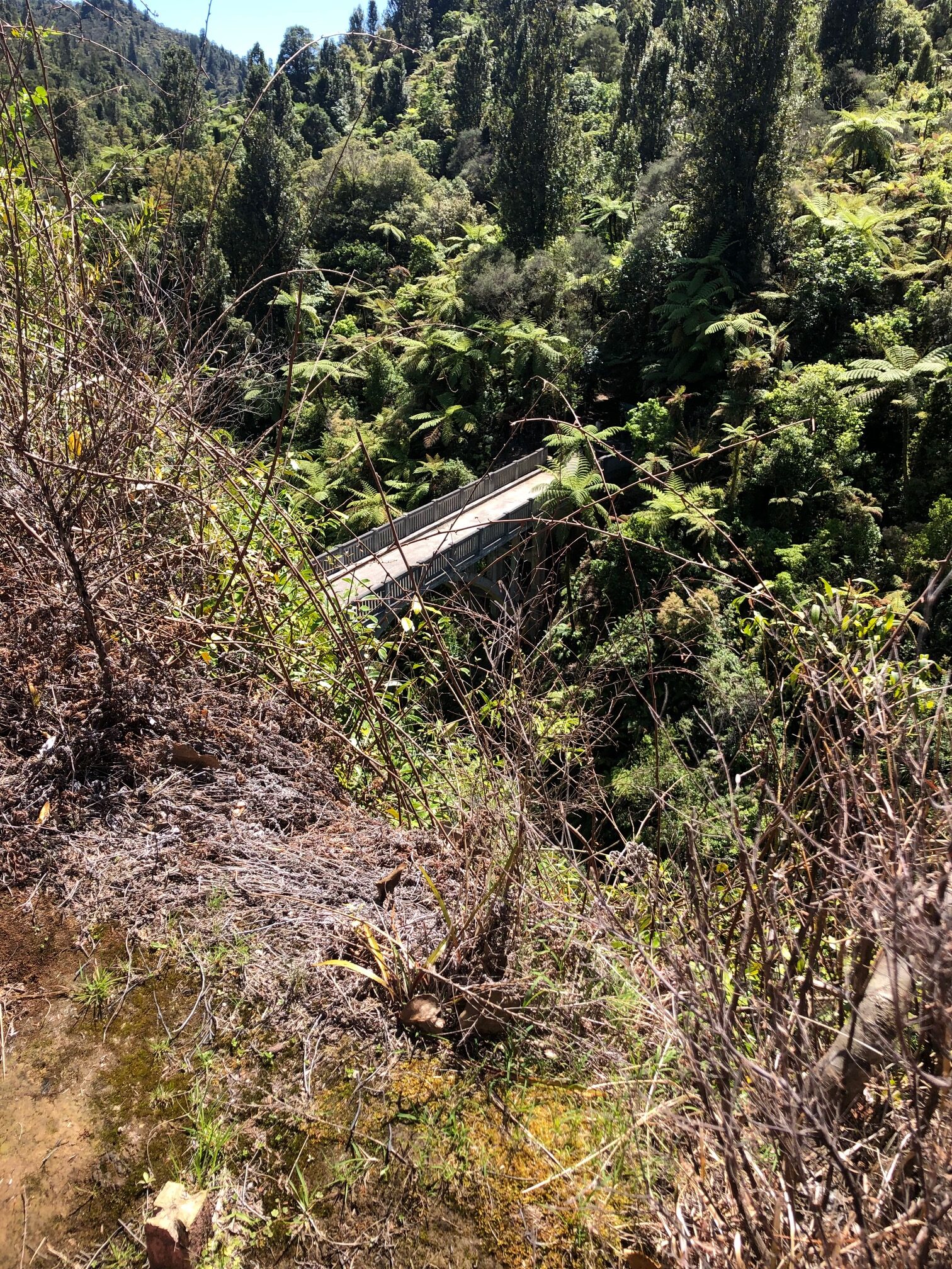 Whanganui National Park