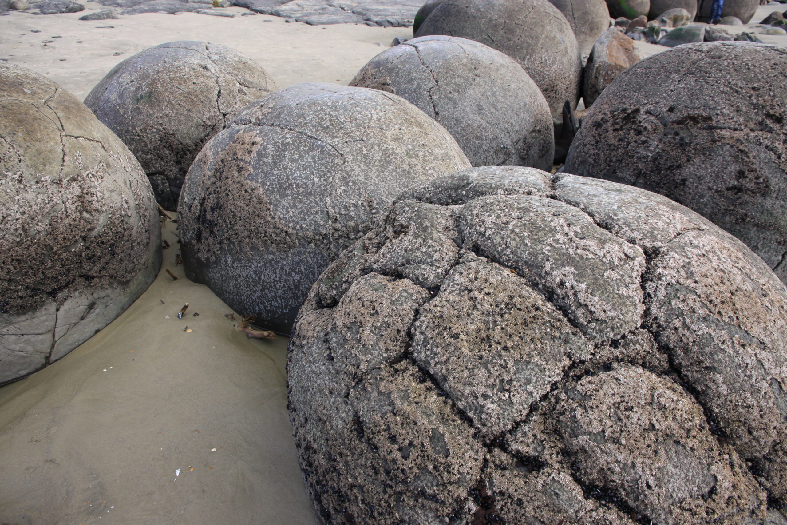 Moeraki Boulders