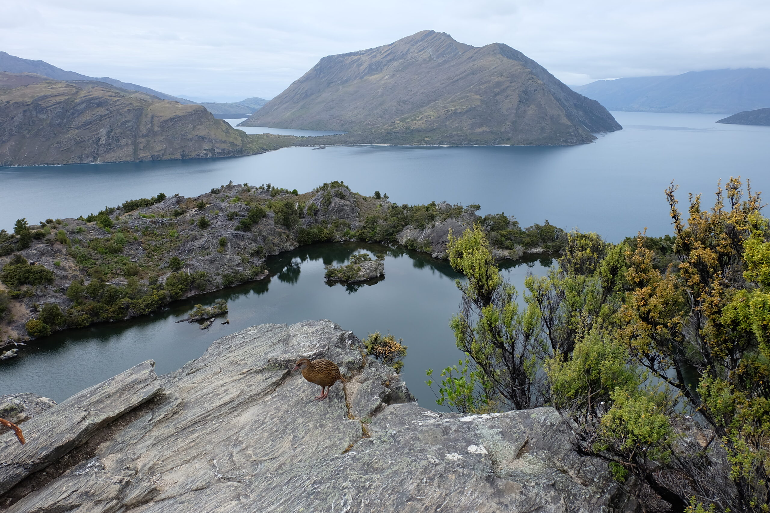 Lake Wanaka