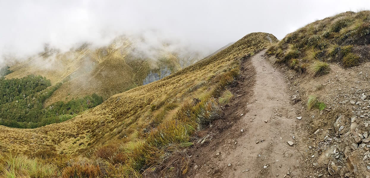 Hike the Ben Lomond Track