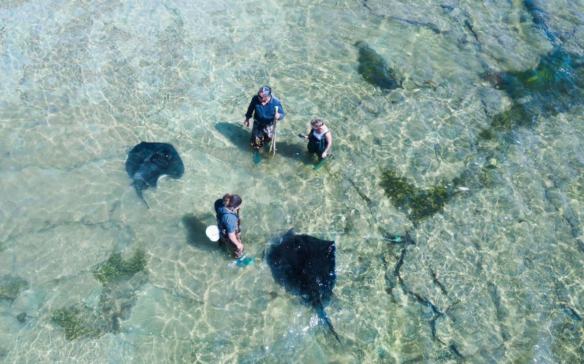 Hidden Treasures of the North Island: Beaches, Lakes and Forests tour