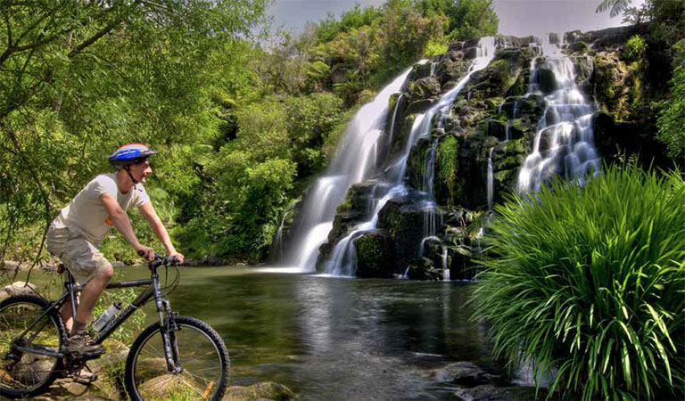 A Journey on Two Wheels: Ultimate North Island Cycling Adventure