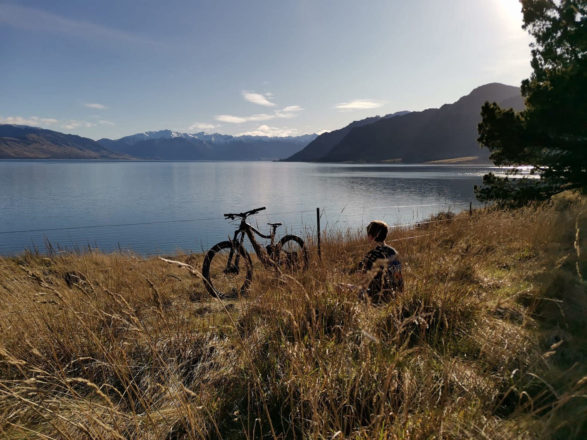 Pedal Through Paradise: 11-Day South Island Cycling Tour